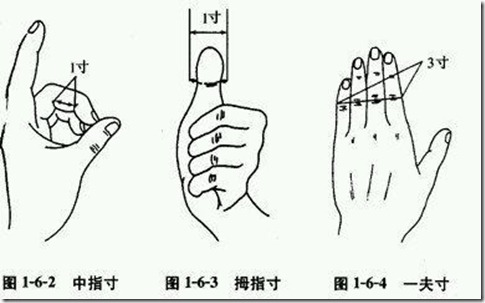 抗击疫情病毒 - 四穴养生法，不仅治疗常见疾病,还可以提高身体的免疫力，增强体质、延缓衰老