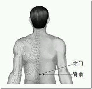 抗擊疫情病毒 - 四穴養生法，不僅治療常見疾病,還可以提高身體的免疫力，增強體質、延緩衰老