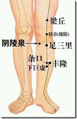 抗擊疫情病毒 - 四穴養生法，不僅治療常見疾病,還可以提高身體的免疫力，增強體質、延緩衰老