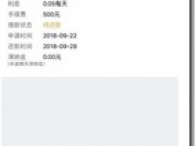 金豆豆,老口子放款,周末正常審核下款,半小時到賬1000