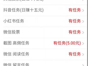 《微客眾智》- 做任務,投票 小紅書 抖音 留言 閱讀,每天賺十多元錢,工資日結!