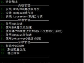 锐速/BBR/魔改BBR/KCPTUN加速VPS效果对比测试 BBR 原版 / 魔改 / Plus + 锐速四合一脚本