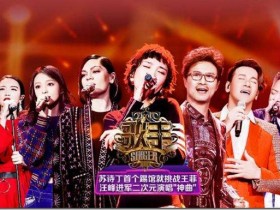 娱乐至上,湖南卫视和中央电视台15频道等娱乐平台,代表后工业化时代未来,远离黑工厂做三和大神和996奴隶,干净体面赚大钱是时代青年的喜欢!