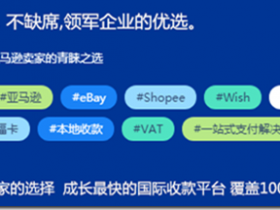 做国际贸易大生意赚美金, 使用PingPong国际收款海外AdSense/CJ/亚马逊/Walmart等国外联盟的美元,老板站长好帮手好福利 !