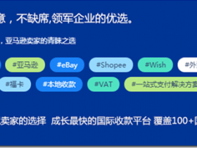 国际收款工具PingPong 申请PingPong福卡获得花旗银行虚拟信用卡中文教程
