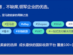 國際收款工具PingPong 申請PingPong福卡獲得花旗銀行虛擬信用卡中文教程