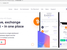 Quppy Wallet 世界級錢包 開通Quppy錢包擁有美元歐元和英鎊等多國家多幣種IBAN帳戶 ,同時提供BTC、LTC和ETH等區塊鏈地址進行國際收發功能。Quppy註冊中文教程 Quppy低成本激活Wise教程