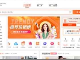 國內十大貨源批髮網站(電商十大貨源批發平台)